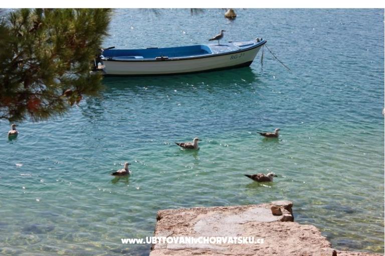 Appartementen Leon – foto 15