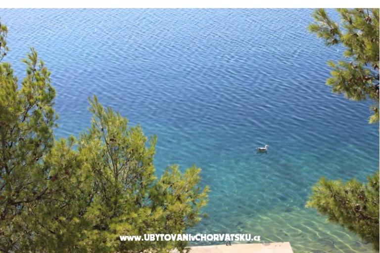 Appartementen Leon – foto 9