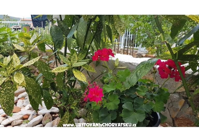 Appartementen Mijo – foto 12