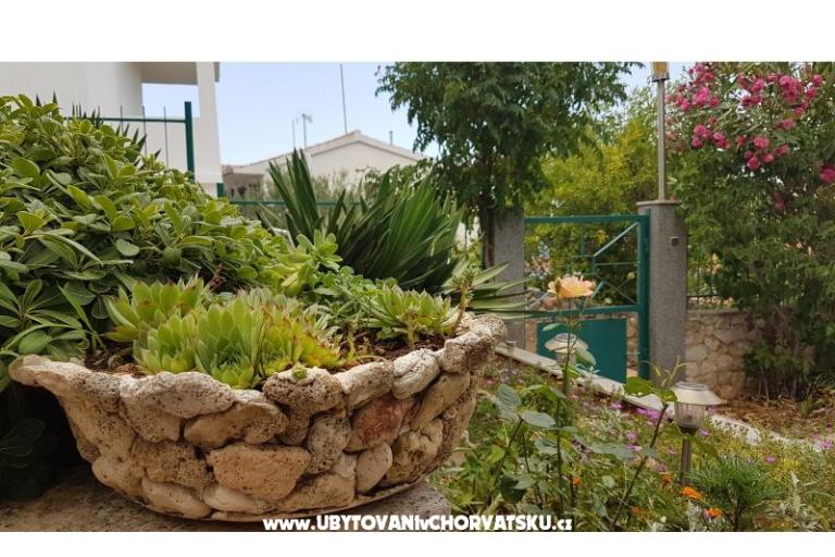 Appartementen Mijo – foto 13