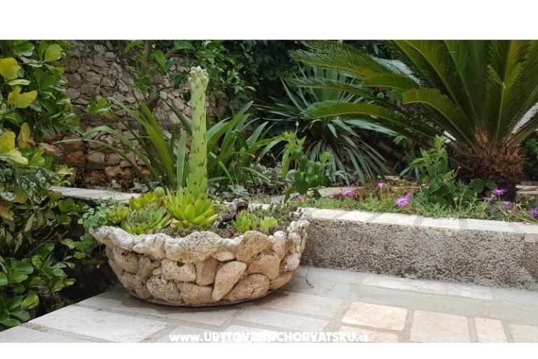 Appartementen Mijo – foto 7