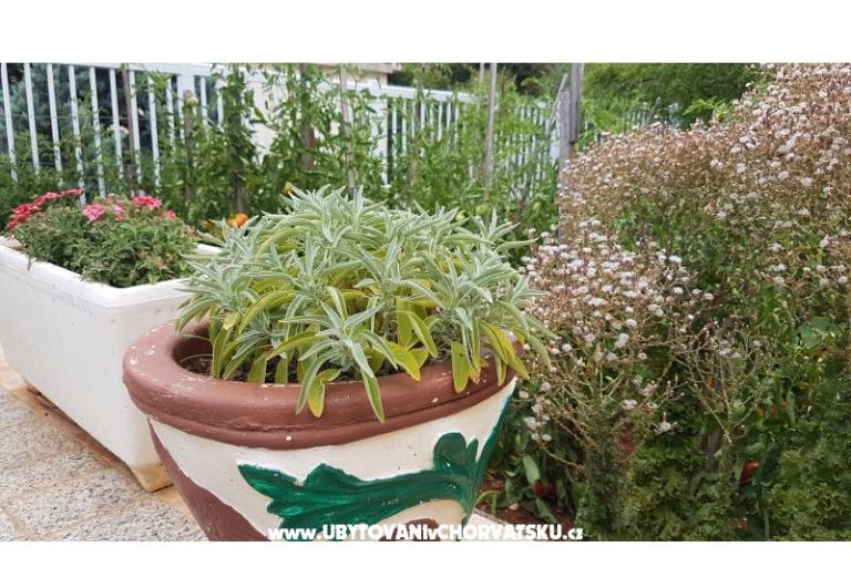 Appartementen Mijo – foto 8