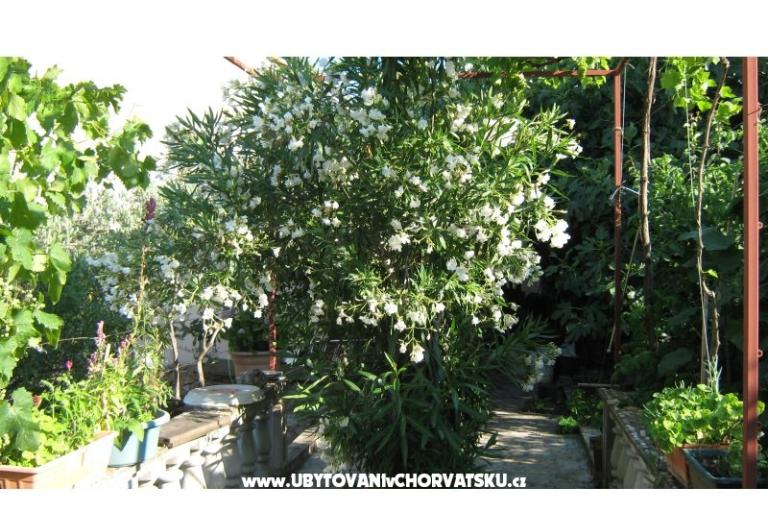 Appartementen Miki – foto 8