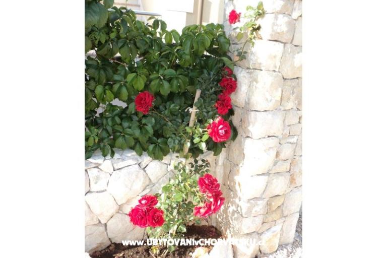 Appartementen Neda,Kanica – foto 6