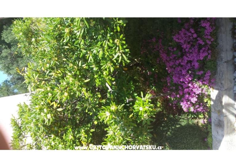 Appartementen Perak – foto 10