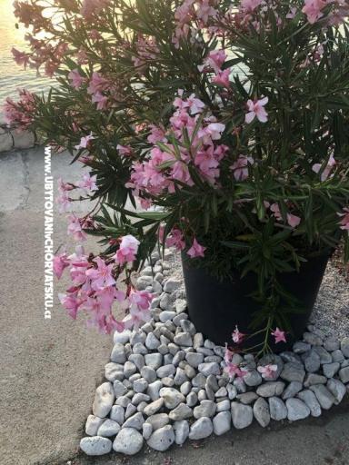 Appartementen Ruža – foto 28