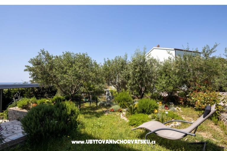 Appartementen Vido i Nada – foto 5