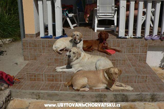 Ap Tilijanka +SUP+kayak+bikes – foto 17