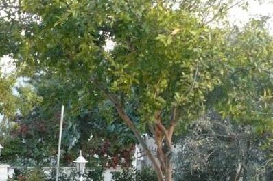 Appartementen Milica – foto 5