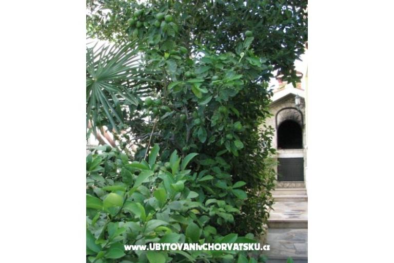 Appartementen Villa Milakovic – foto 4