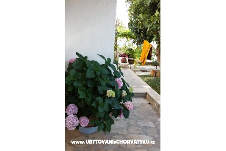 Appartementen Ursula – foto 14