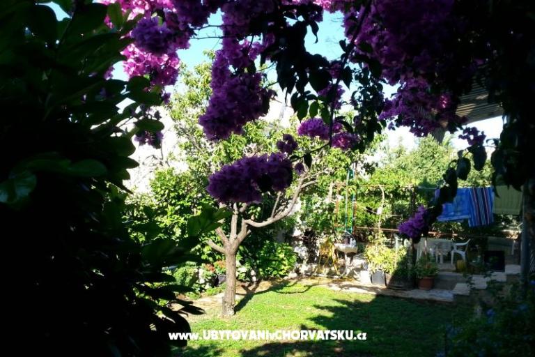 Appartementen Ursula – foto 6