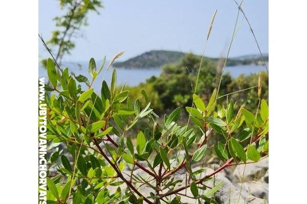 Holiday Appartementen Lucic – foto 100