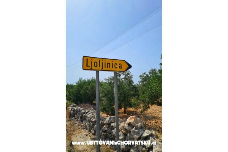 Holiday Appartementen Lucic – foto 103