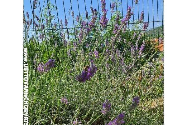 Holiday Appartementen Lucic – foto 98