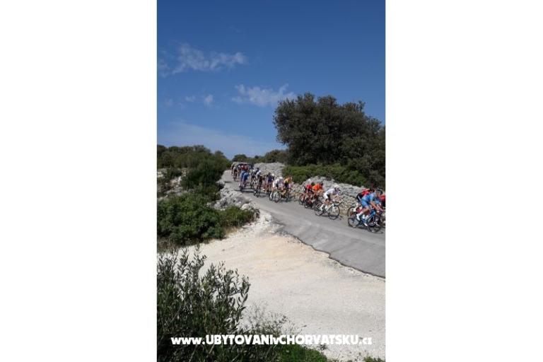 Huis Zvonimir – foto 15