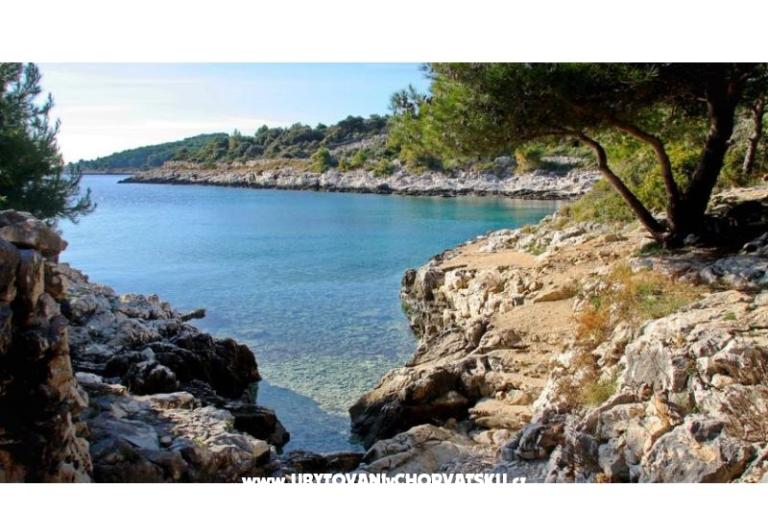 Appartementen Iva – foto 13