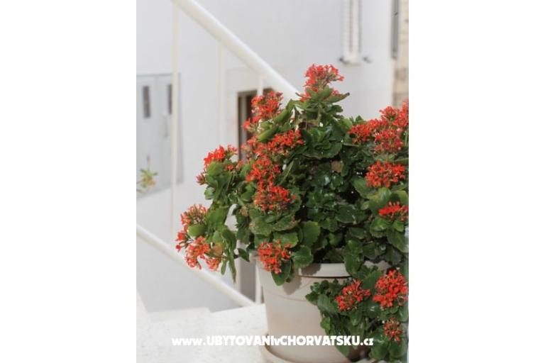 Huis Anita – foto 17