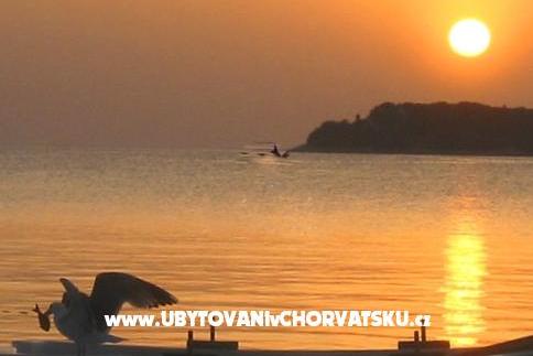 Maxi Appartement – foto 4