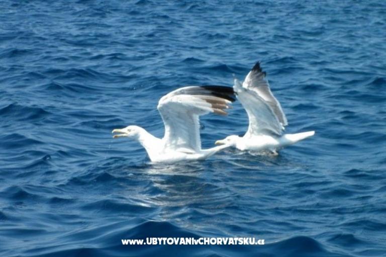 Appartement Mendula – foto 12