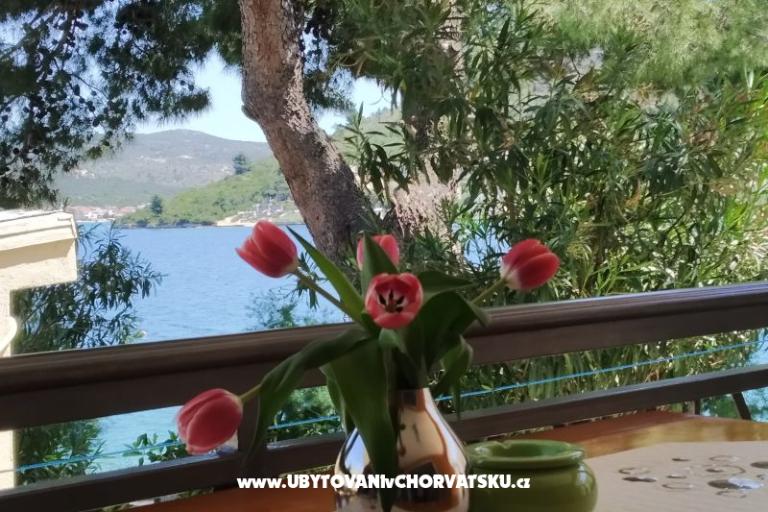 Vakantiehuis Milenka – foto 3