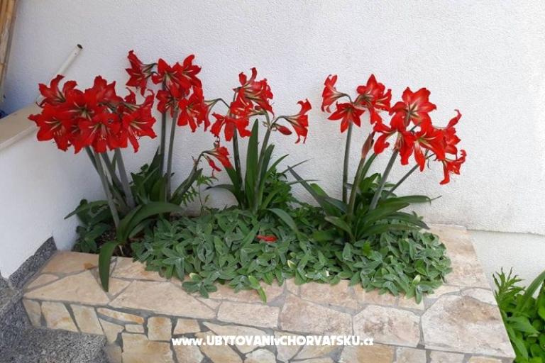 Appartementen Mira Mark Ražanj Rogoznic – foto 13