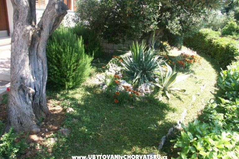 Santa Chiara Appartementen – foto 5