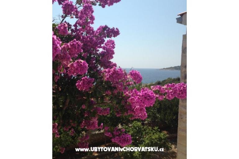 Vesna apartmani – foto 10