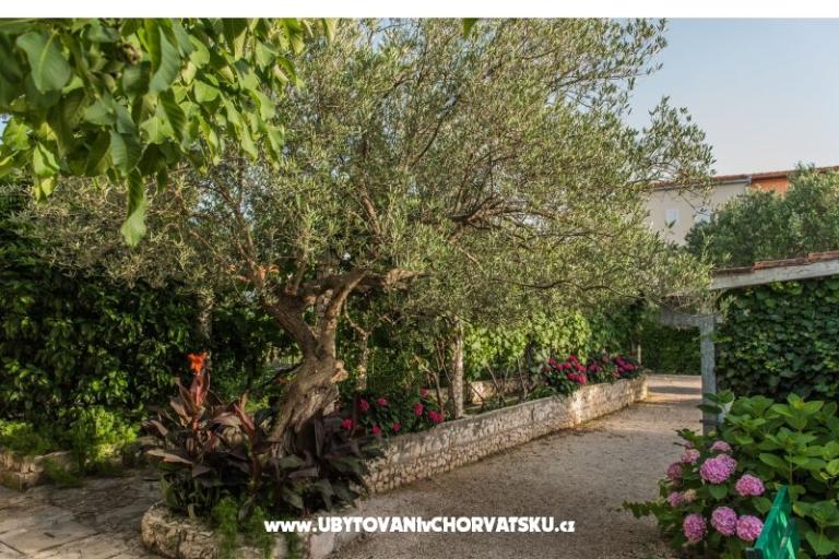 Villa Perla – foto 10