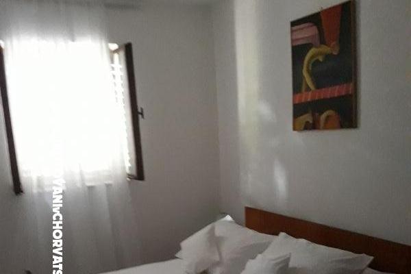 VIVA Lozica – foto 7