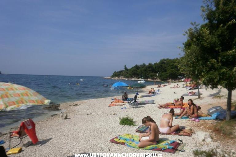 Appartementen Ana – foto 16