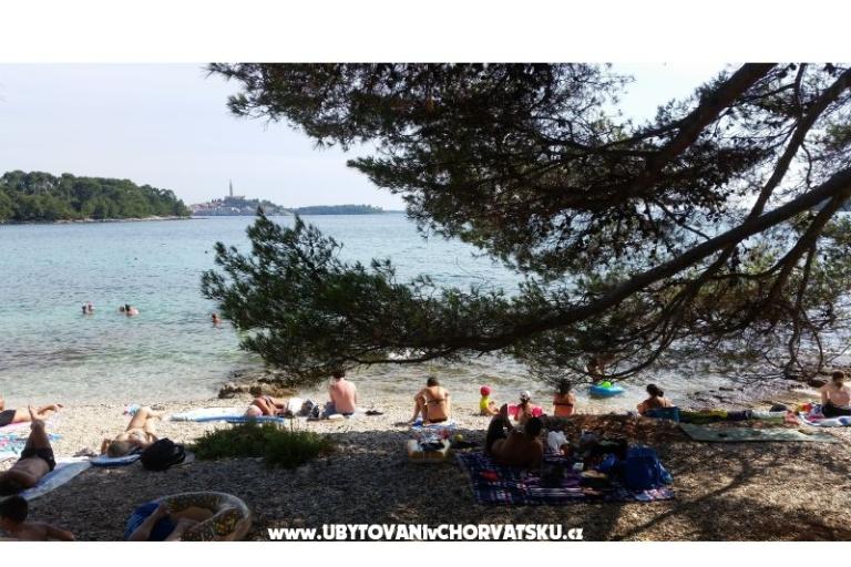 Appartementen Ana – foto 18