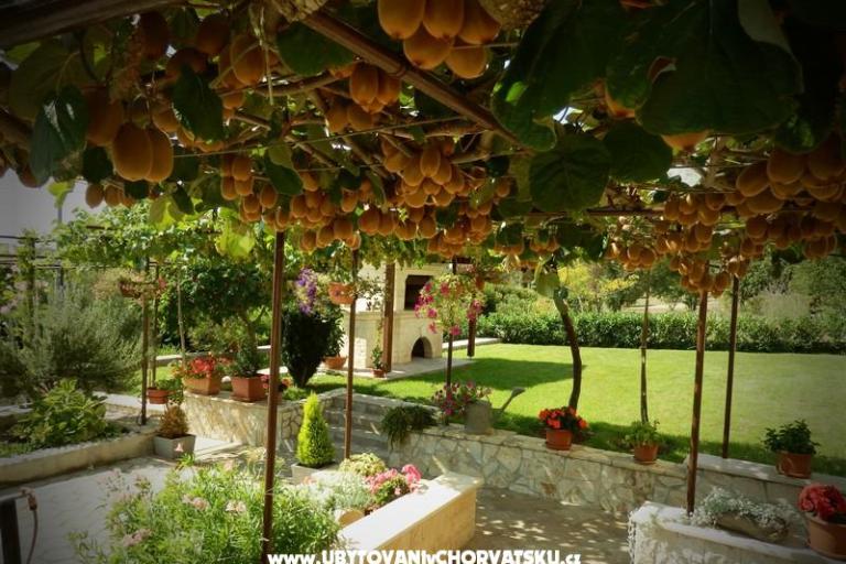 Appartementen Fantazija – foto 12