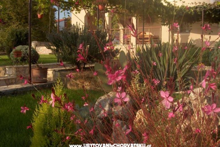 Appartementen Fantazija – foto 14