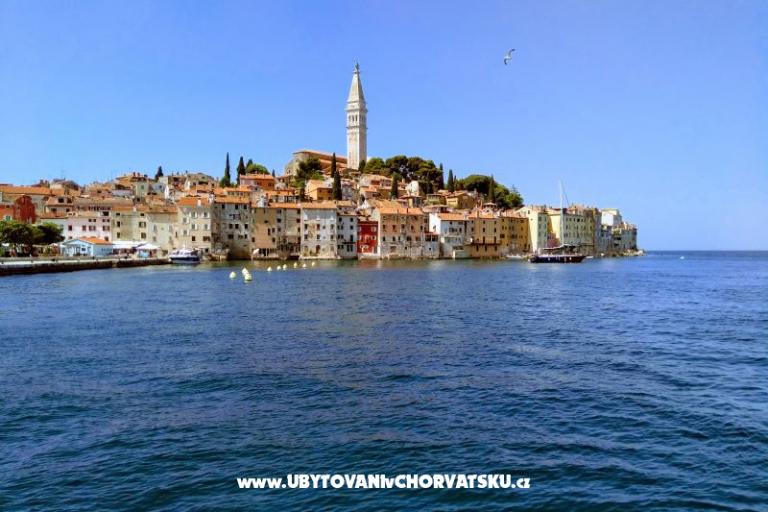 Appartementen i Kamers Markovic – foto 11