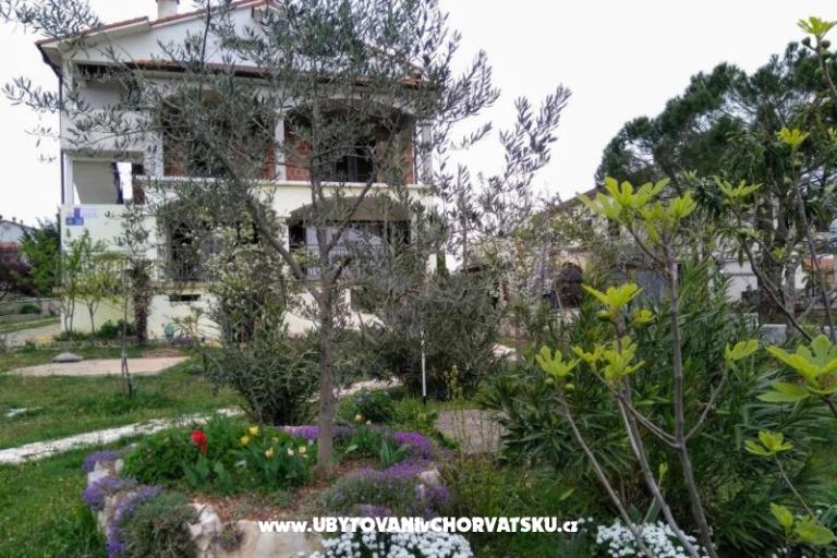 Appartementen i Kamers Markovic – foto 6