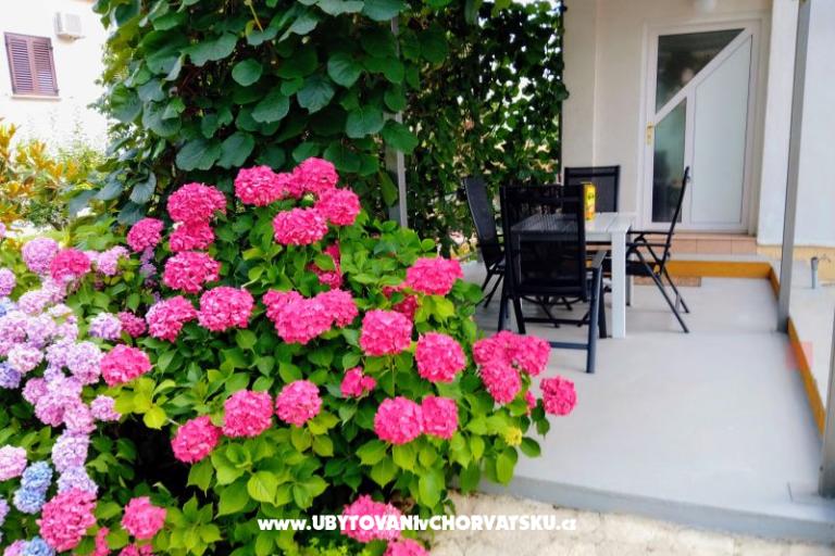 Appartementen i Kamers Markovic – foto 9