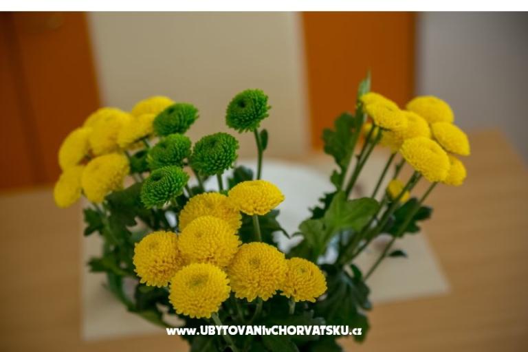 Appartementen Nada – foto 15