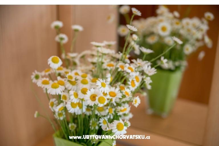 Appartementen Nada – foto 17