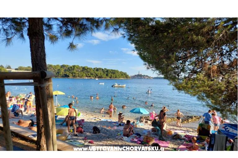 Appartementen Samsa – foto 12