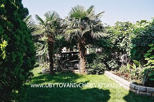 Appartementen BOS-KO – foto 3