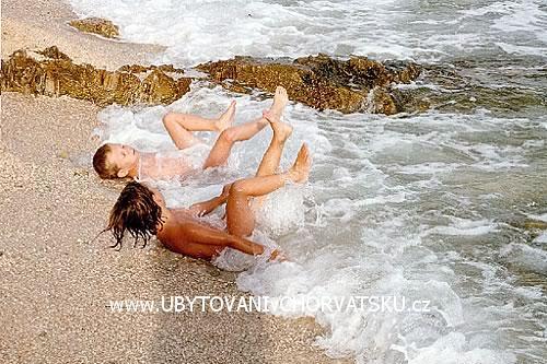 Appartementen BOS-KO – foto 7