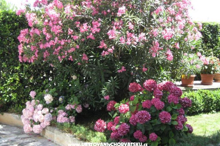 Appartementen Ida &amp; Sandra – foto 2