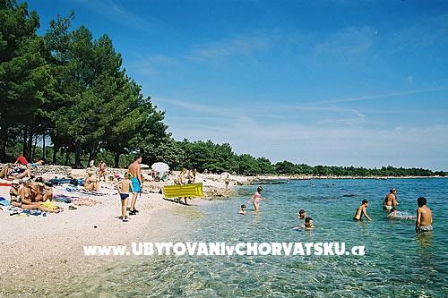 Family Huis Ivancevic – foto 5