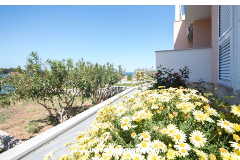 Appartementen Carić – foto 6