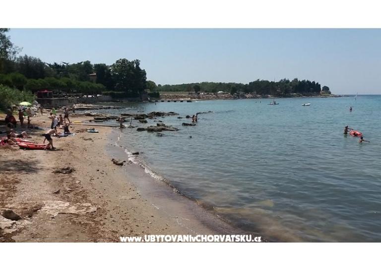 Villa Elena – foto 6