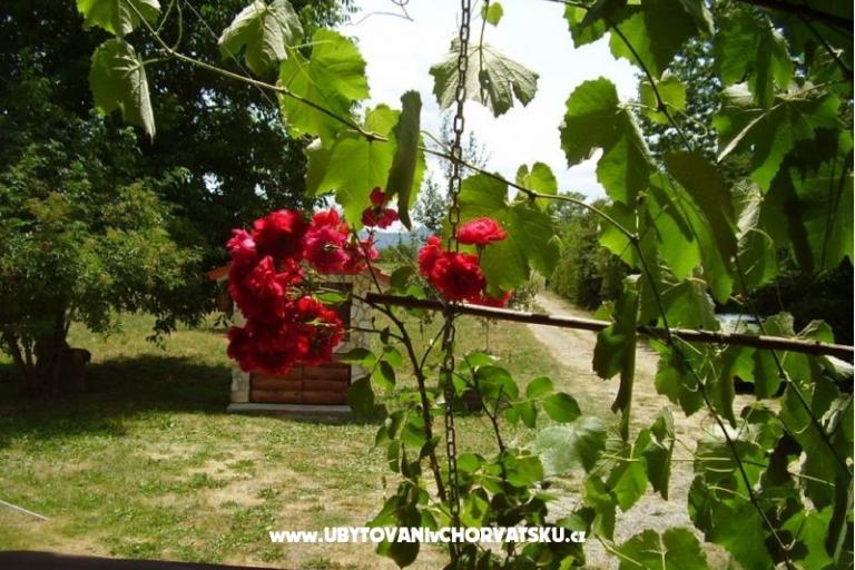 Vakantiehuis Biserka – foto 6
