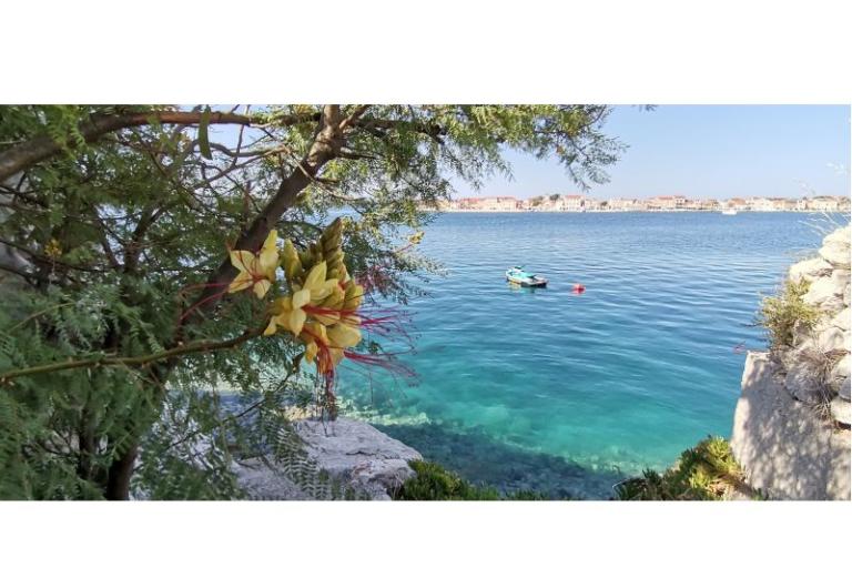 Appartement Mare – foto 18