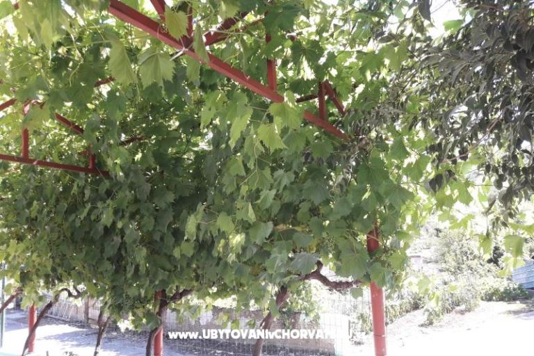 Appartement Stara kuća  – foto 3