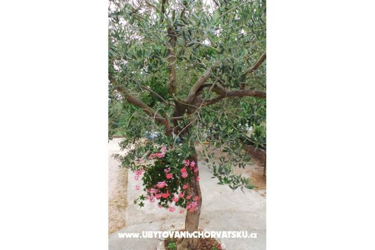 Appartement Tomić – foto 10